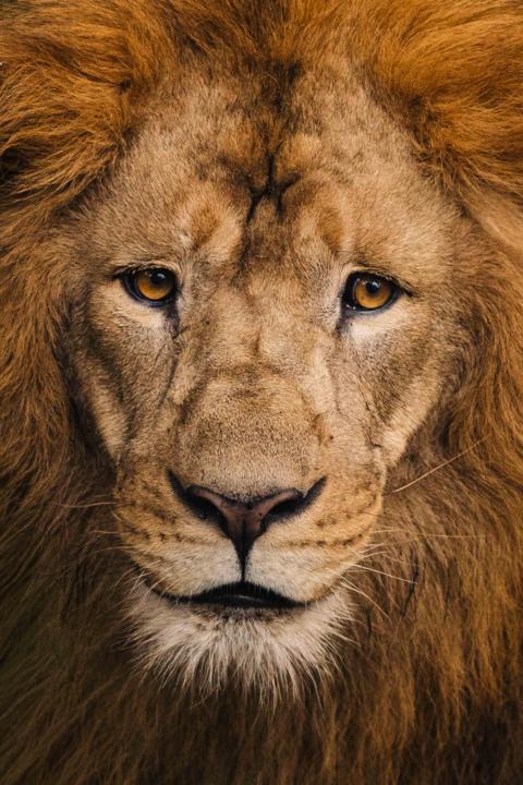 Favorite Photo Challenge!