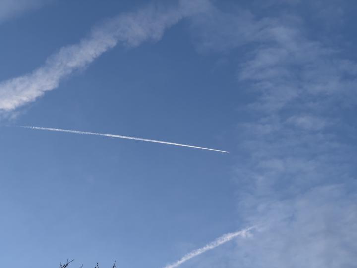 Signs and Signals, Is It Spring