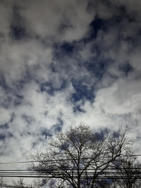 Signs of the Seasons 