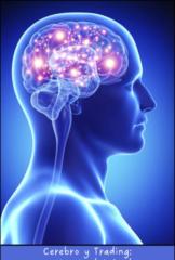 Gustavo Adolfo Triviño loboa