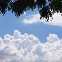 Braulio Andrés Ramirez fuentes