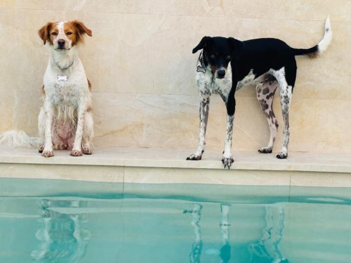 Estefania Pernia Huerta