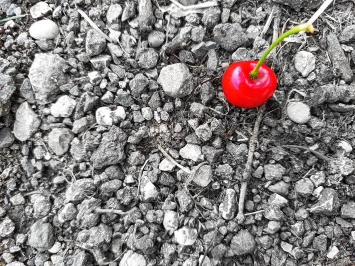 Laura Escudero garcía