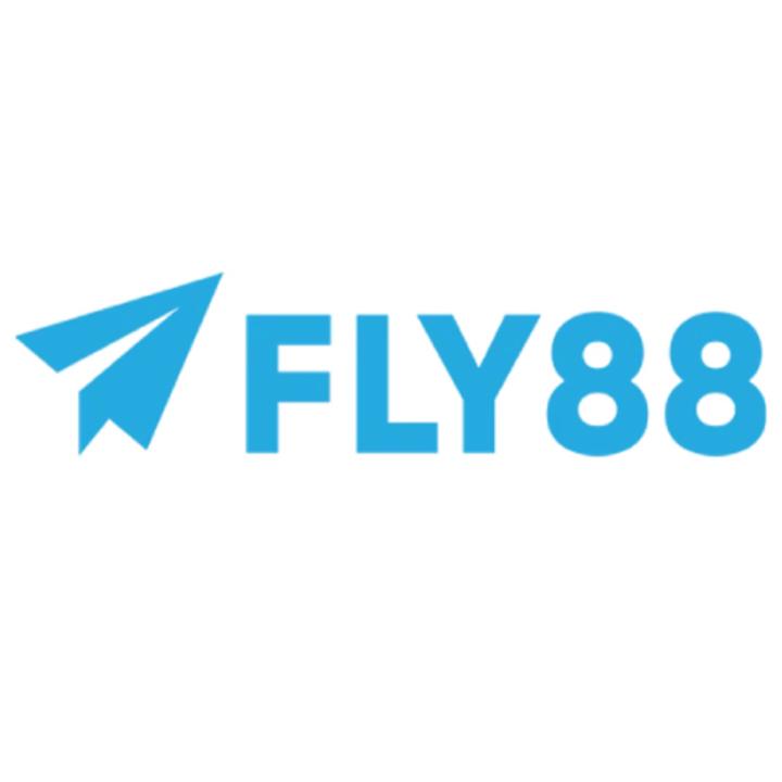 Fly Fly