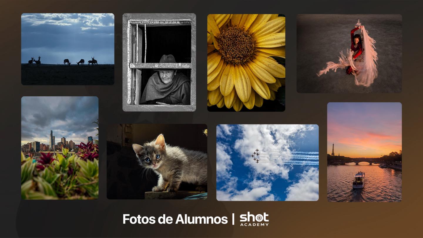 Shot Academy