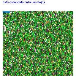 Reinaldo Juan van Domselaar