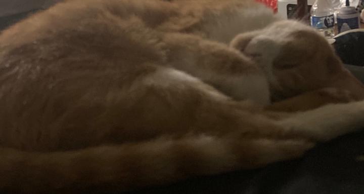 OutOfTheBandO’s Box Industries