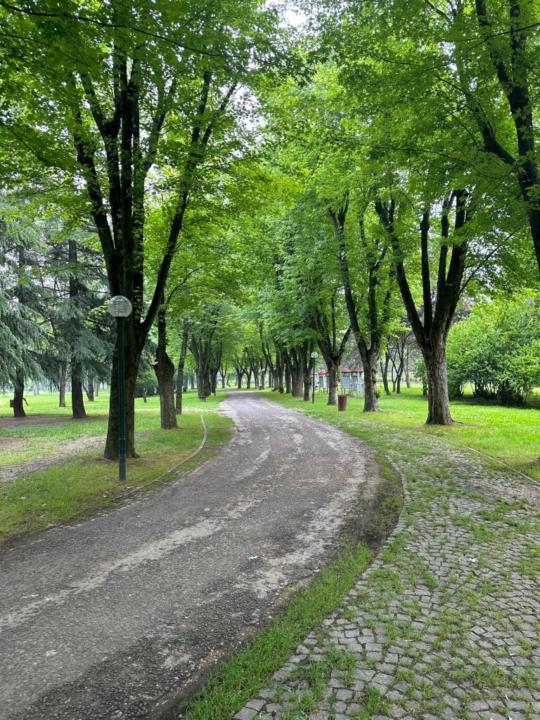 Secil Tanriverdi