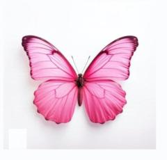Noor Alfittra