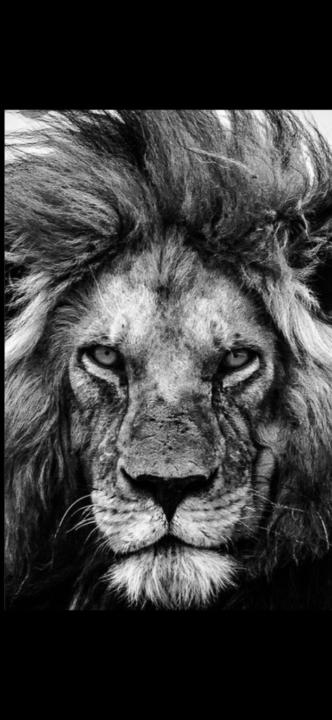 Mokhtar jamaï Mohammed