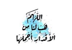 Mona Fathy