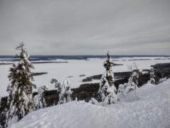 Veikka Ste