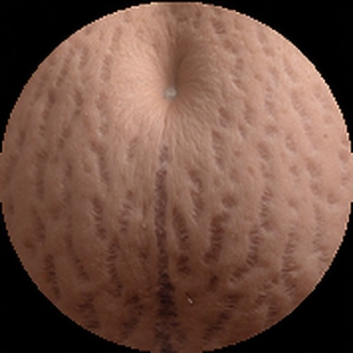 Christian Begazo Rodriguez