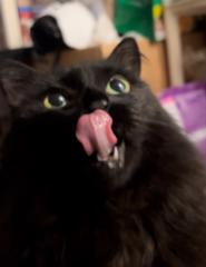 Lydia Wang