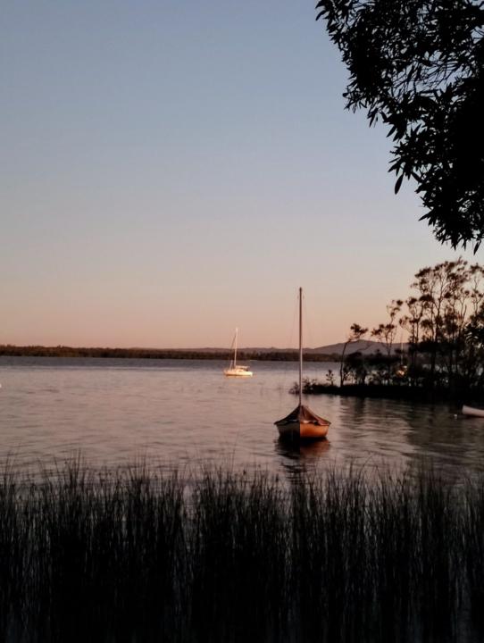 Mandy K AtoZ Zaps Bookdive