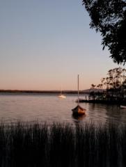 Mandy K AtoZ Zaps Bookdive