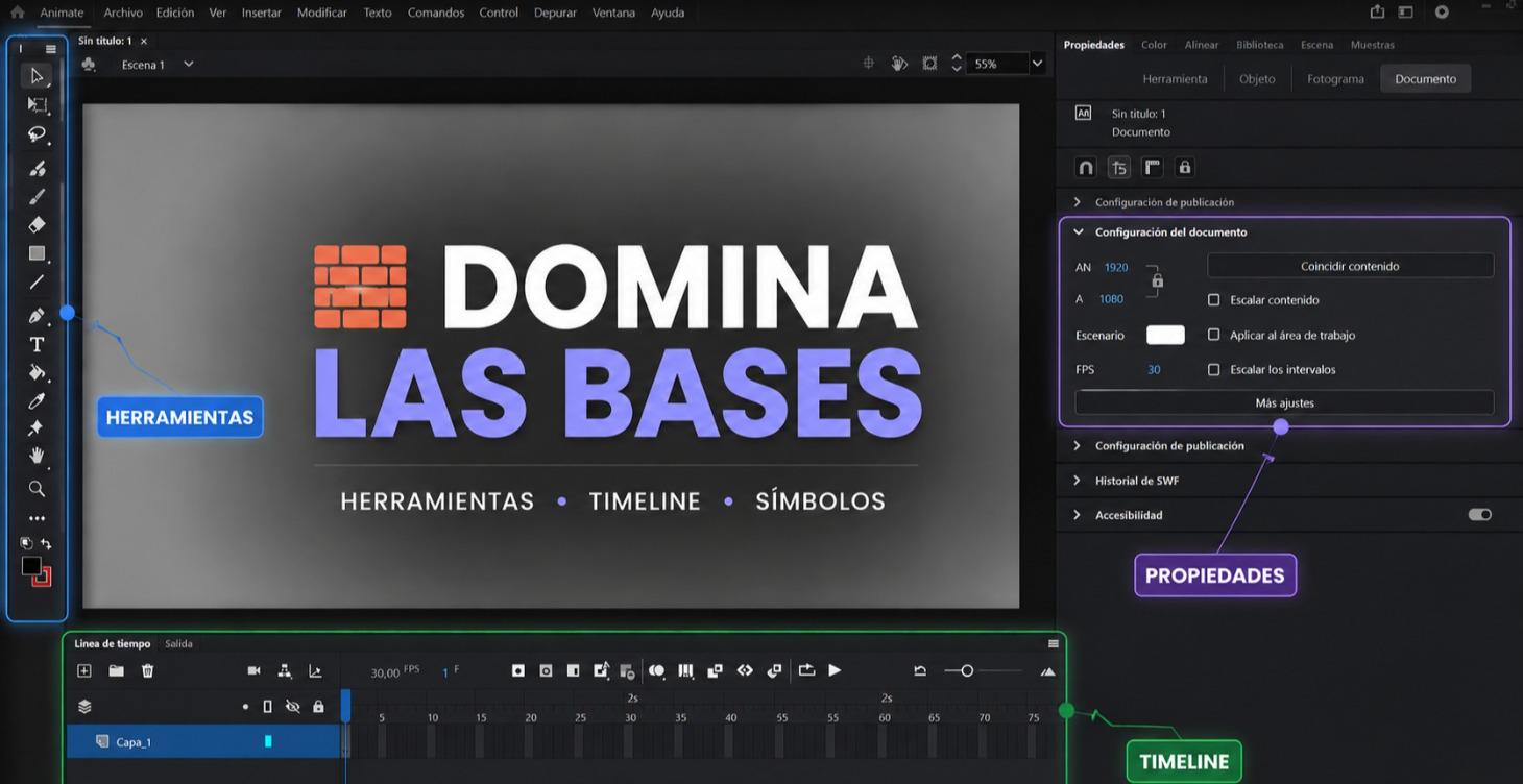 🧱 Domina las Bases de Animate