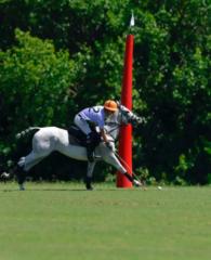 Alessandrus Hoffmann