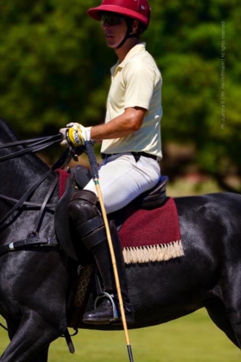 Alessandrus Hoffmann