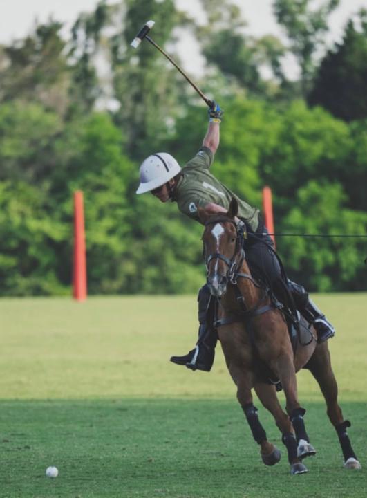 Alessandrus Hoffmann