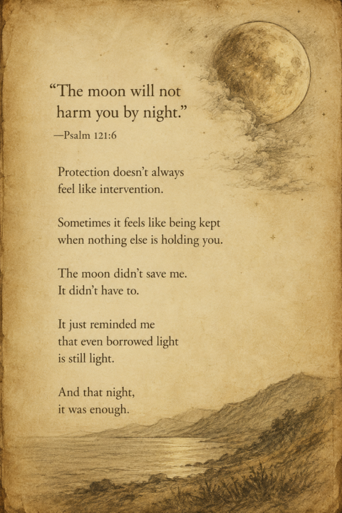 Borrowed Light 