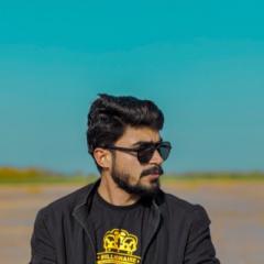 Ali Hussain