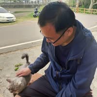 湯馬士 黃