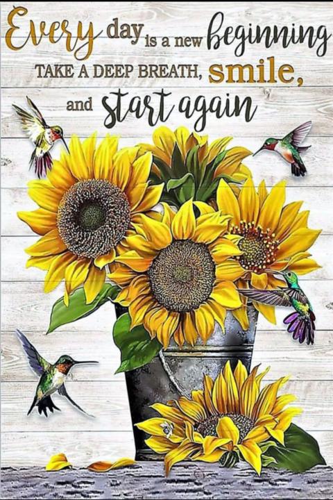 Start again 