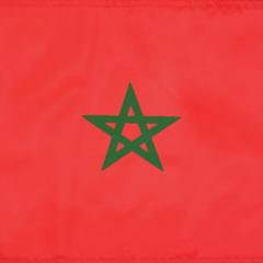 Wassim Wass