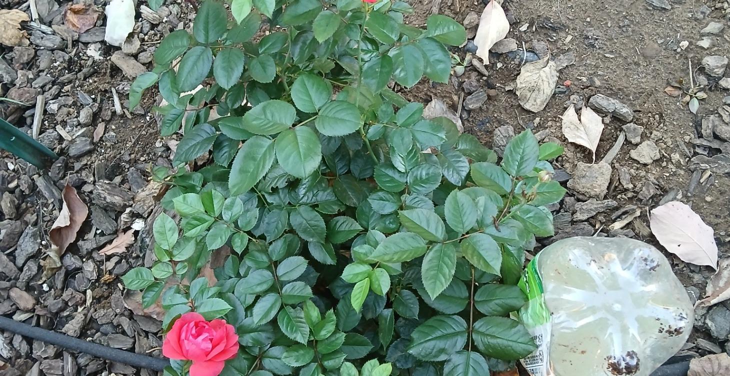 You are doing great.