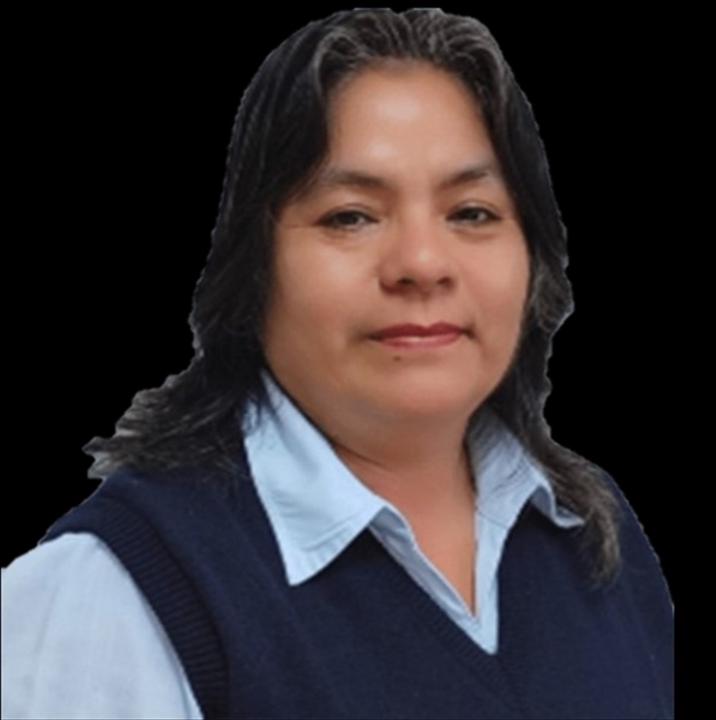 Damaris Correa zeña
