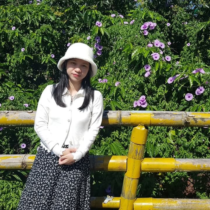 Phuong Ha Luu
