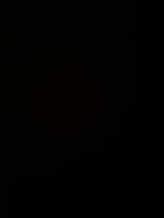 Mehdi Ben Messaoud