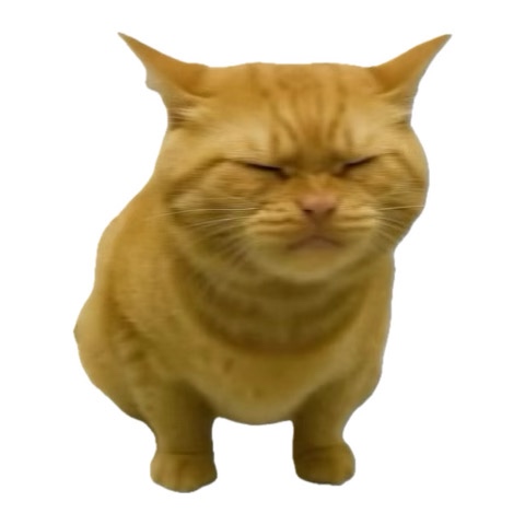 Kim Kim