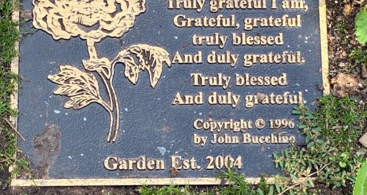 Sacred Hearts of Anishinaabe