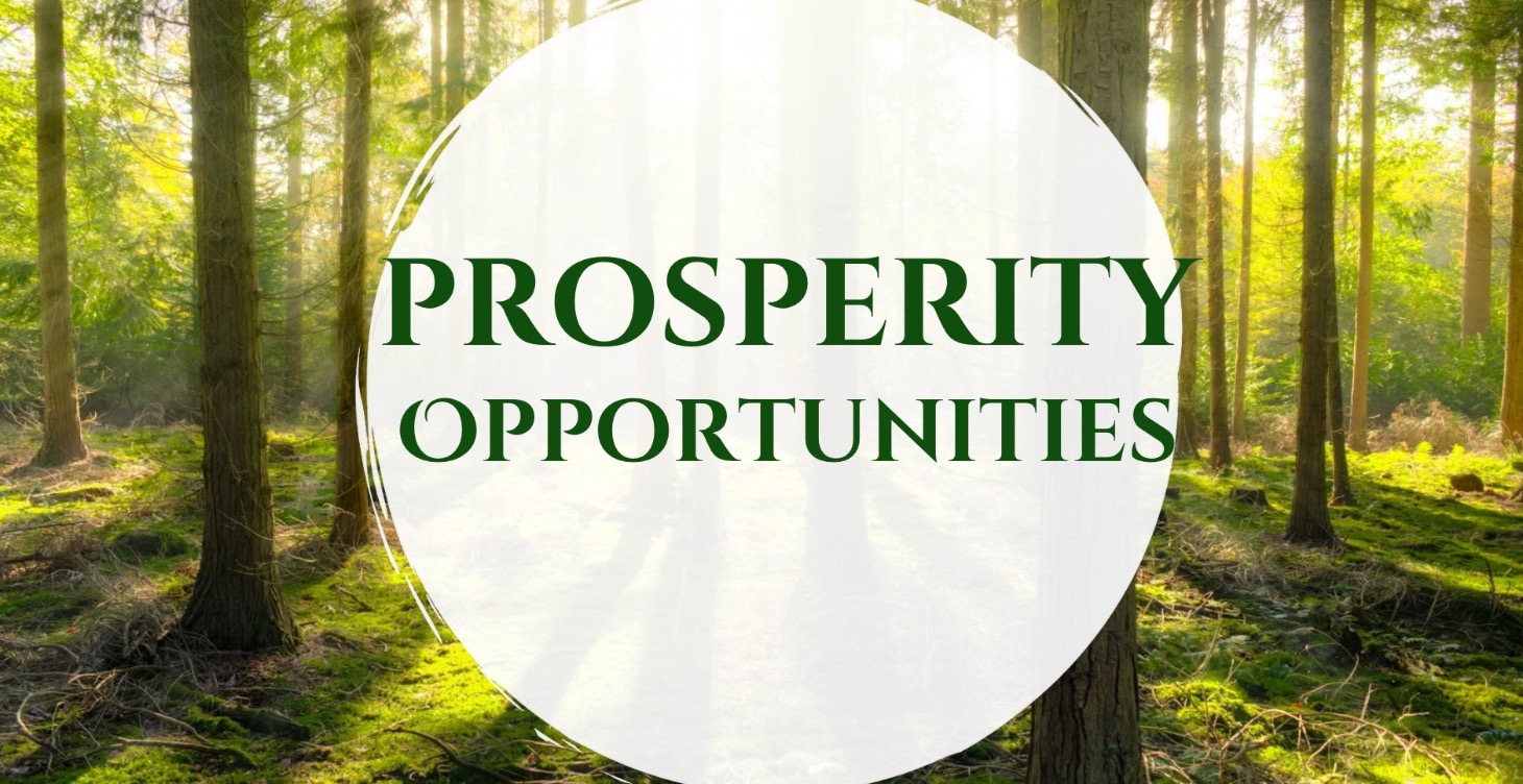 Prosperity Opportunities
