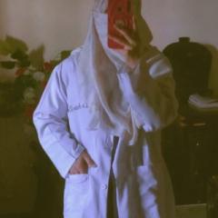 Ansa Ramin