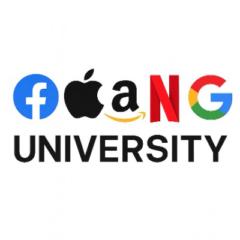 Faang University