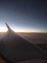 Doha Cottereau Souary