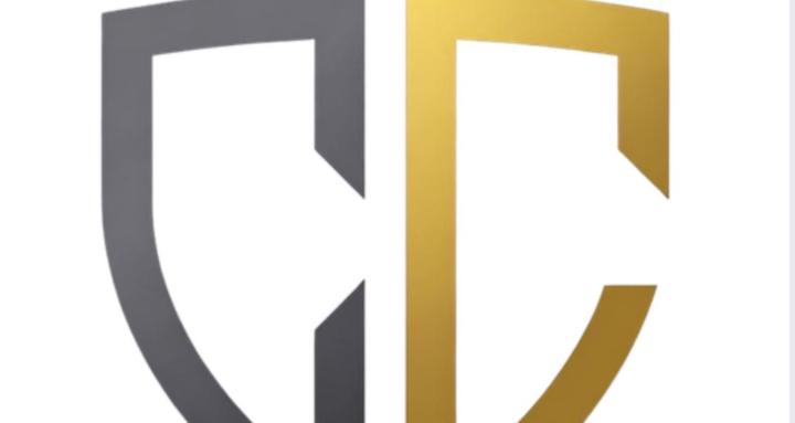 Cover Your ASSets: Insurance