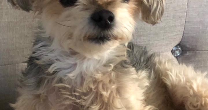 Barbara Lloyd Health 