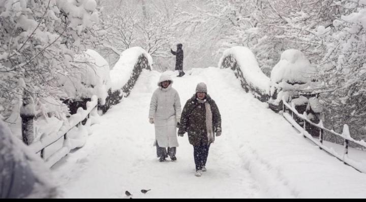 'Near impossible' travel conditions in New York as 22 inches of snow falls on US east coast