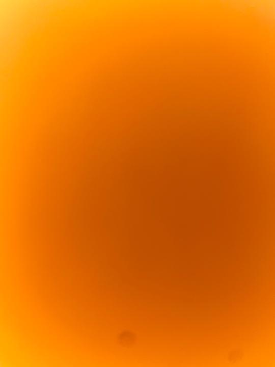 Ana Molina Aleixandre