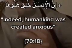 Aabida H