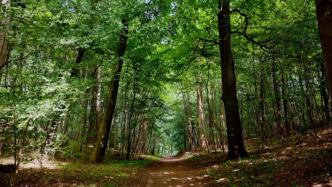 Philip Skov Kristensen