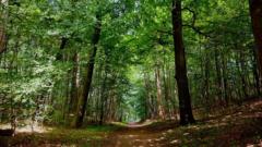 Philip Skov Kristensen