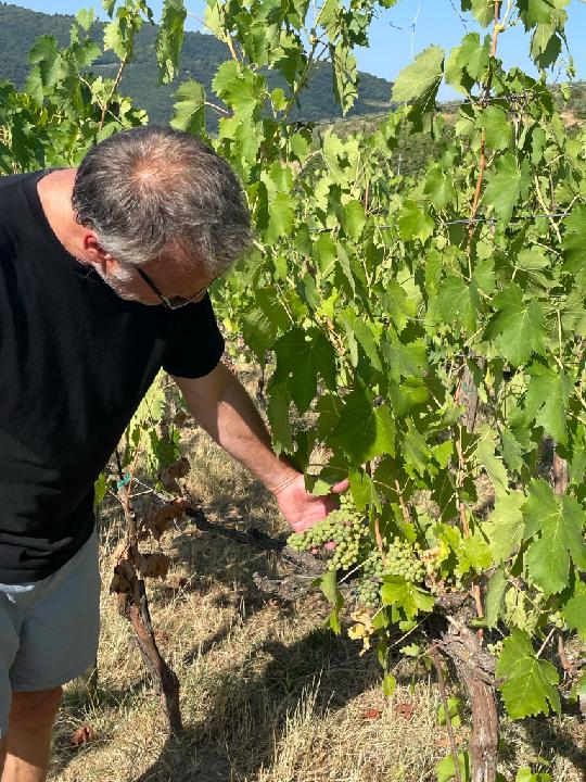 Bjarne Wilken Jensen