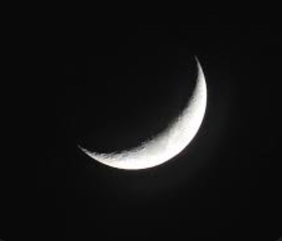 Luna W