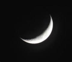 Luna W