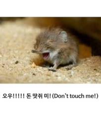 Minsoo Choo